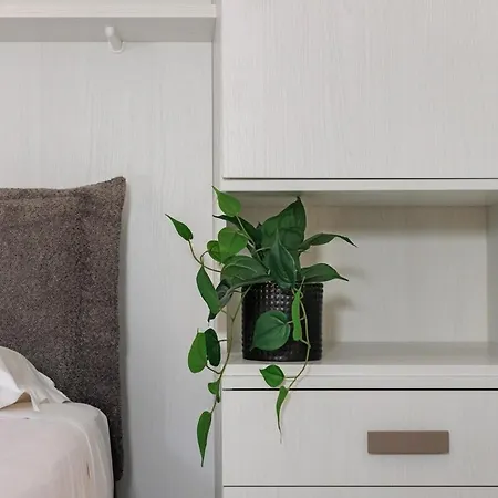 Centre - 5min From Bgy Airport, Wifi, Ac Lägenhet Bergamo